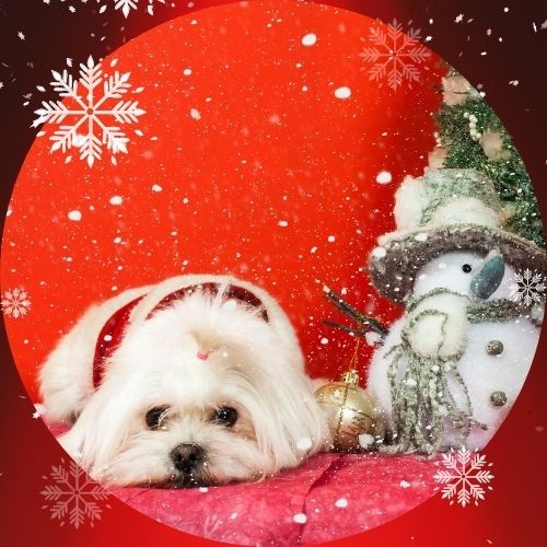 Objednávky do Vánoc + šití na míru